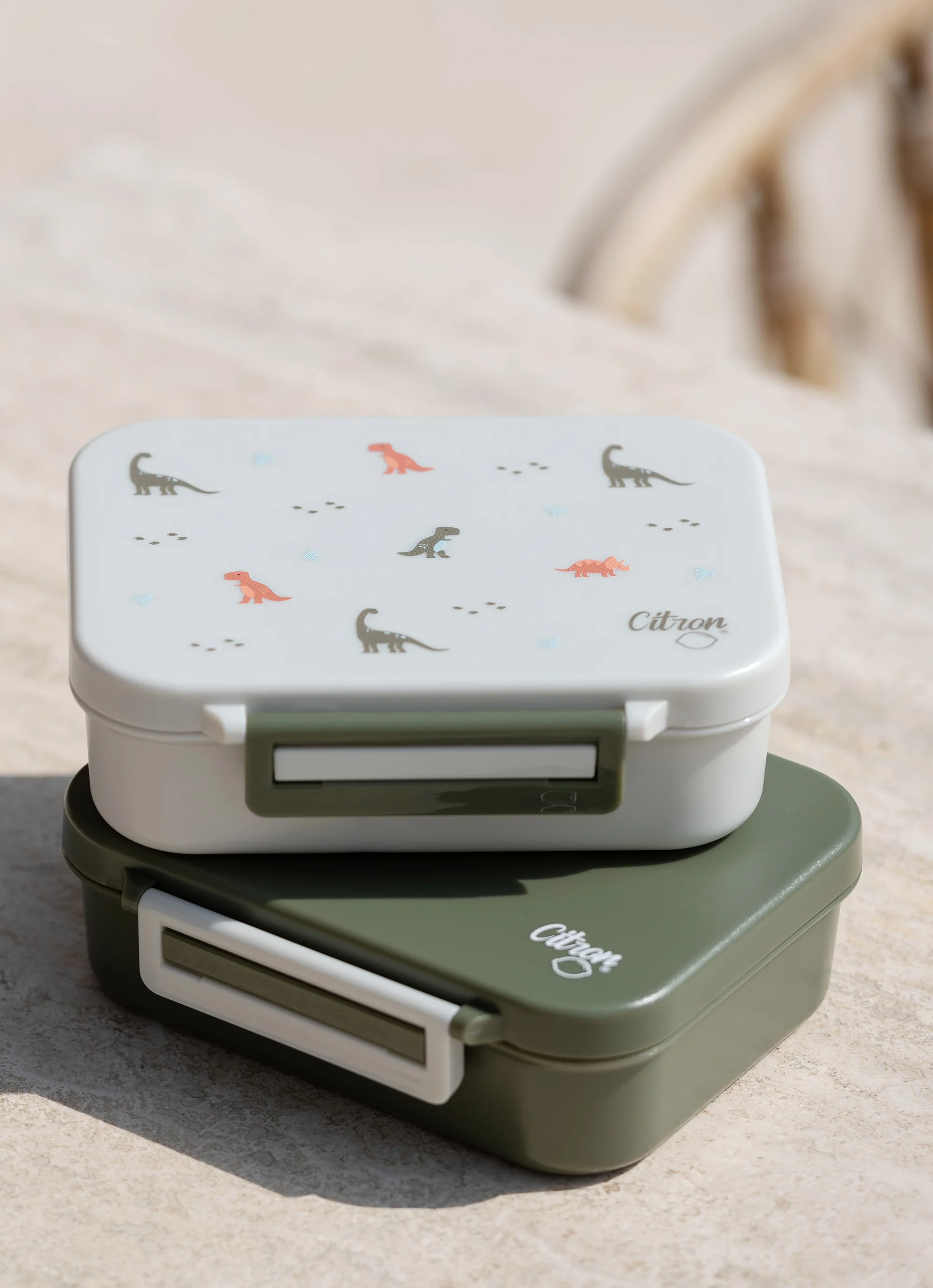 Tritan Snack Box - Dino - Image 5